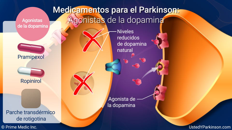Medicamentos para el Parkinson:   Agonistas de la dopamina