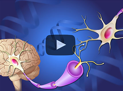 Aprenda acerca de una variedad de temas sobre la enfermedad de Parkinson a través de animaciones cortas.